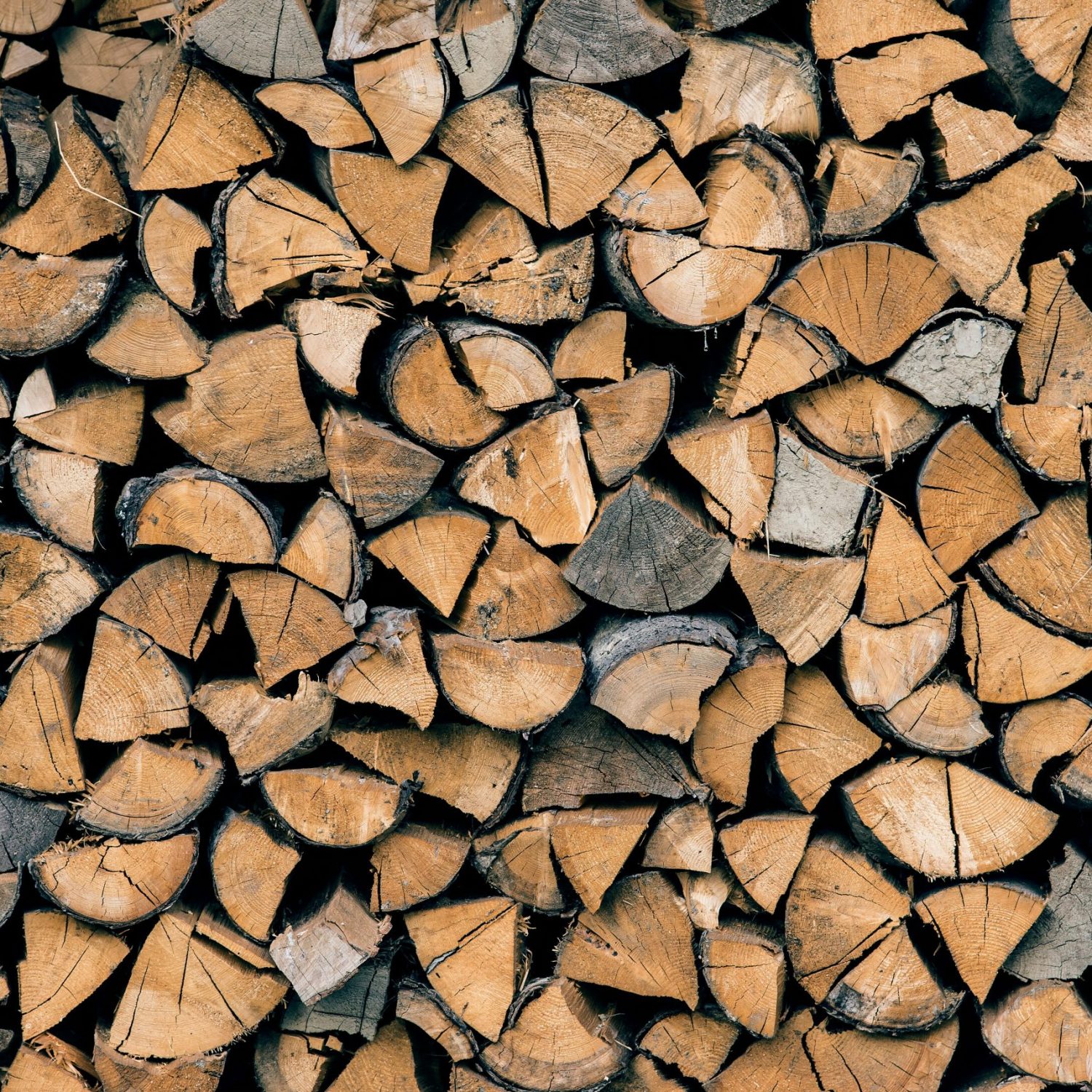 radek-grzybowski-r3PneqUsrls-unsplash